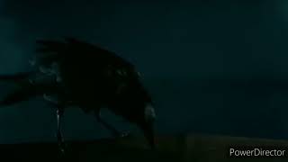 M64Bros Returns To Make More Animations