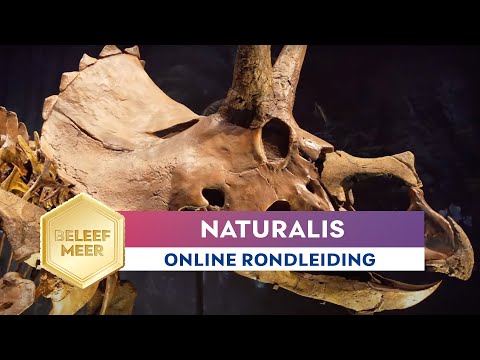 Online familierondleiding door Naturalis Biodiversity Center in Leiden
