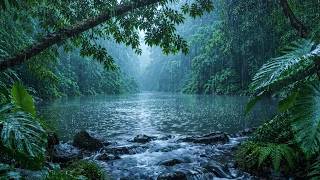 🌿 Moss Forest Rain Sounds 🌧️ Relax Beside a Peaceful Rainforest Stream