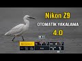 Nikon Z9 Otomatik Yakalama Özelliği İle Fotokapan Oldu | Nikon Z 600mm f/4 Yaban Hayatı Çekimi