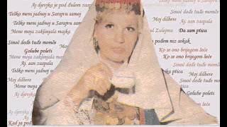 Video thumbnail of "Silvana Armenulic - Moj dilbere"
