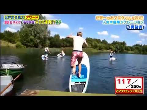 ハプニング 股間強打 金的