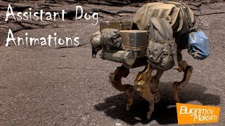 Assistant Dog Animations Render Unity 2017