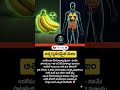 Bananas Are RADIOACTIVE 🍌☢️"Hashtags: #banana #radioactive #potassium #radiation #humanbody #shorts