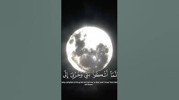 القارئ محمد هشام ((سورة يوسف))