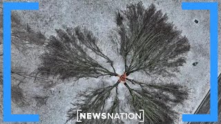 Winter storm triggers power outages, record flight cancellations | Morning in America