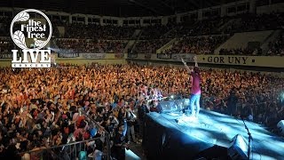 LUPA BAWA NYALI - LIVE CONCERT #1 - The Finest Tree