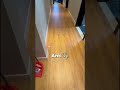 SPC Flooring Dubai | Waterproof, Stylish &amp; Scratch-Resistant Floors by Rare Home Decor