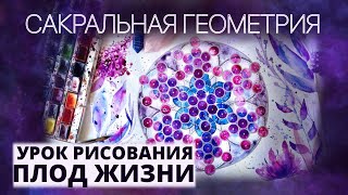 САКРАЛЬНАЯ ГЕОМЕТРИЯ. УРОК РИСОВАНИЯ АКВАРЕЛЬЮ. ПЛОД ЖИЗНИ.