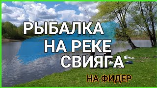 Свияга как всегда радует.  Приучаем молодое поколение к рыбалке. Лещ, Синец на фидер.