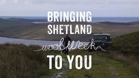 Native Shetland Sheep – a short film with Ronnie Eunson of Uradale Farm