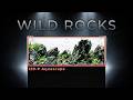 Creating a Powerful Wild-Style Aquascape