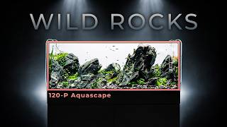 Creating a Powerful Wild-Style Aquascape screenshot 5