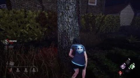 2019 International Staring Contest Grand Finals