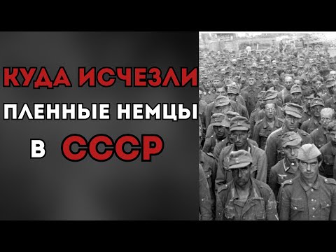 Немецкие пленные в СССР: Какова была их реальная судьба?