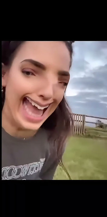 oh look a dandelion (meme)