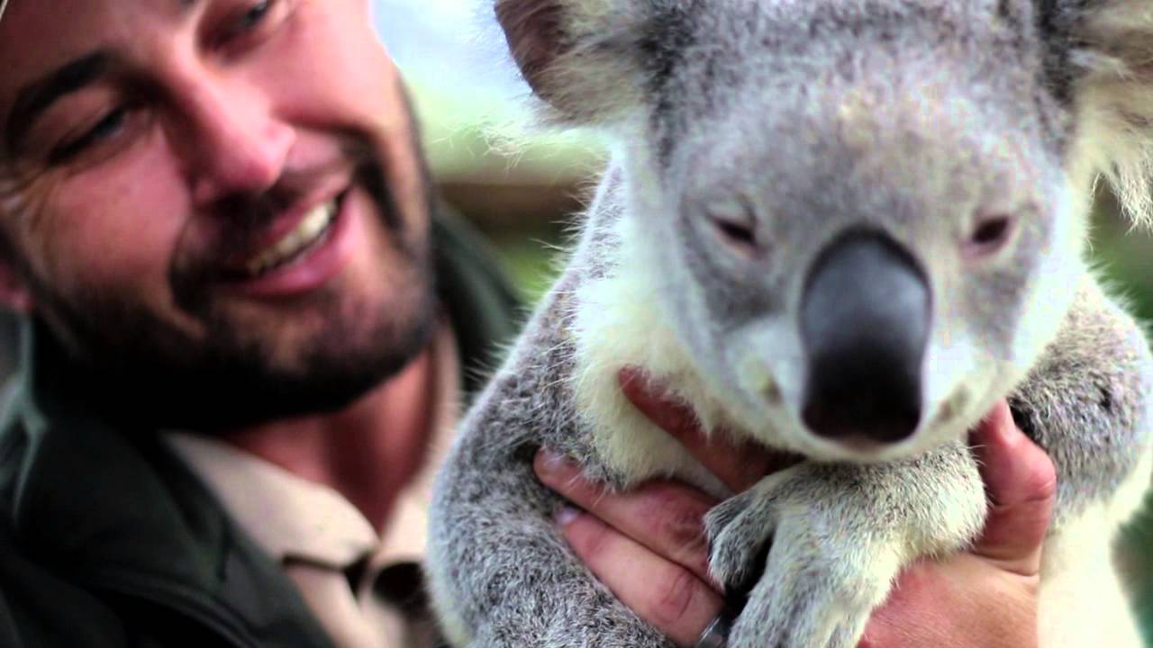 camera iphone 8 plus apk Tree to Me - Currumbin Wildlife Hospital Foundation Plantations