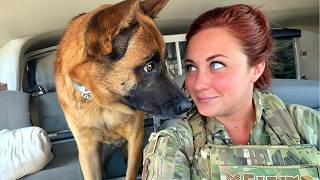 When God Sends You a Comedian Dog 😂 Funniest Dogs Video 2026 Part3
