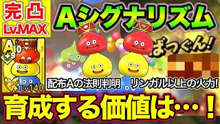 【ドラクエタクト】配布Aシグナリズム完凸L.MAX！使い道は一択、そして配布Aの法則判明