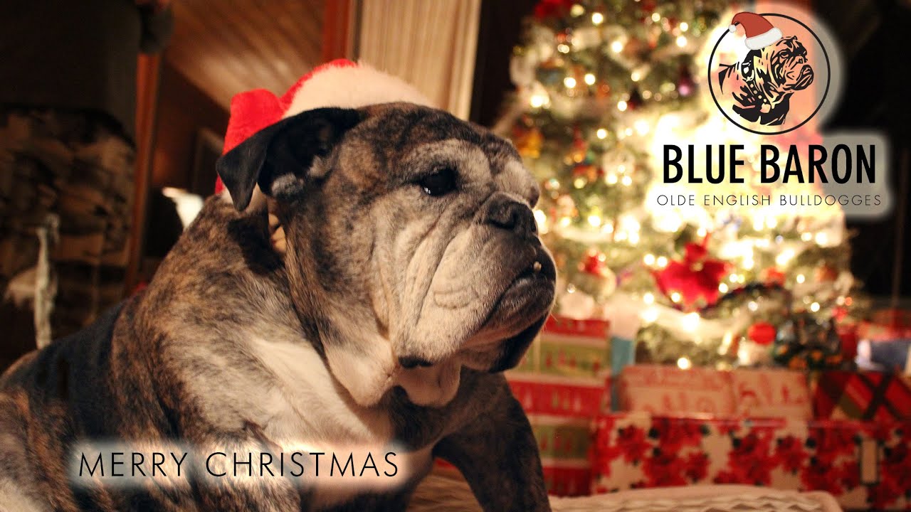 Wishing you Merry Christmas!