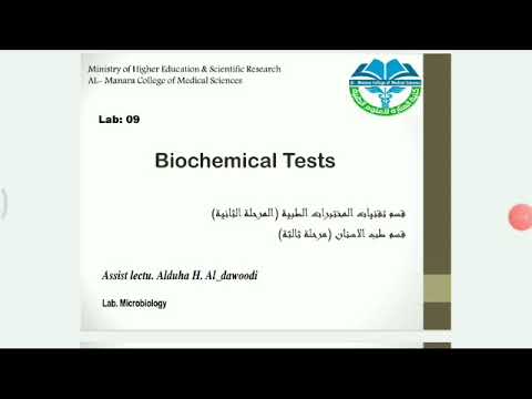 Lab090203 biochemical test
