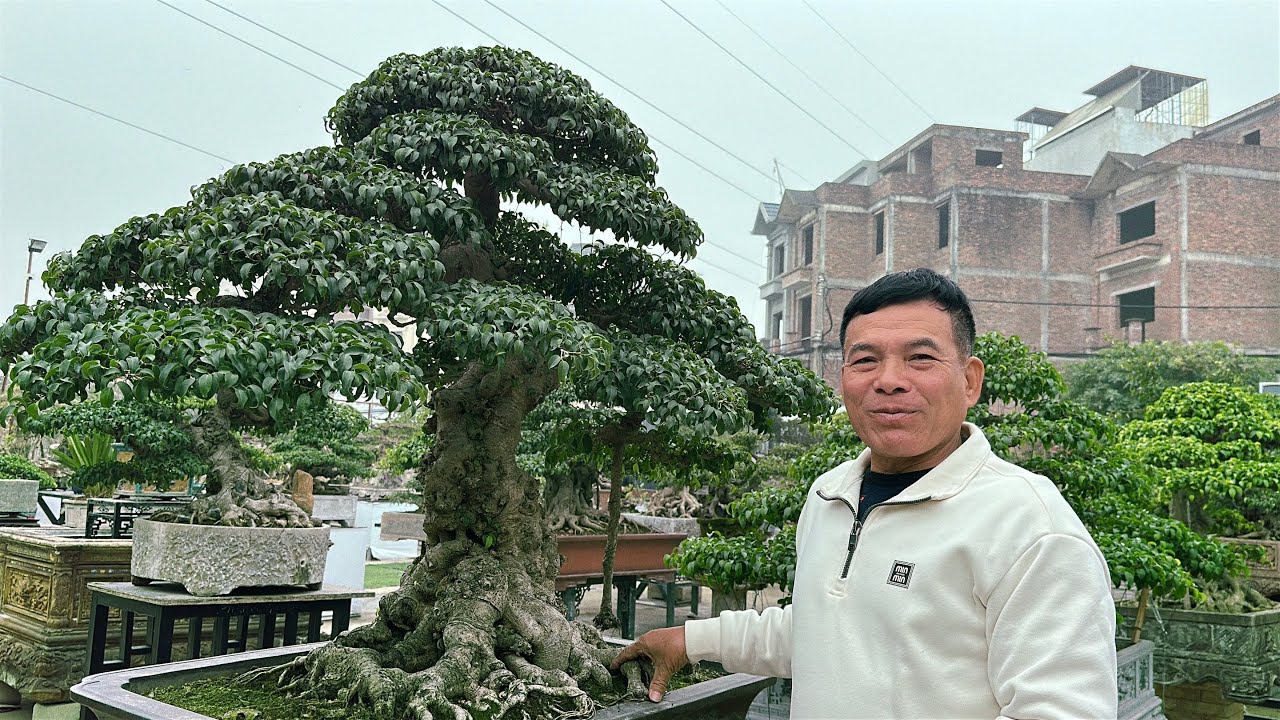 TIỆC TẤT NIÊN HỘI NHỮNG NGƯỜI YÊU CÂY CHƯƠNG MỸ MỞ RỘNG, khu lk Lộc Ninh Chương Mỹ HN | Quảng Tùng