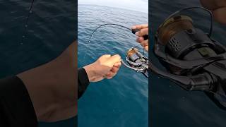 Switching Up Your Jigging Rhythm Can Trigger A Bite