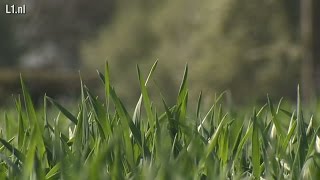 Toerversie Amstel Gold Race