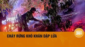 Gần 400 cán bộ, chiến sĩ chữa cháy rừng ở Hải Dương   | Toàn cảnh 24h