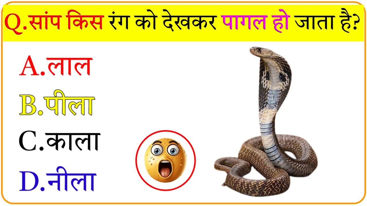 General Knowledge Most Important Questions || Gk Question || Gk Quiz || ONLINE GK TECH ||