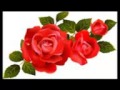 اية يا أخت هارون سورة مريم الشيخ ياسر الشرقاوى اية يا أخت هارون سورة مريم الشيخ ياسر الشرقاوى