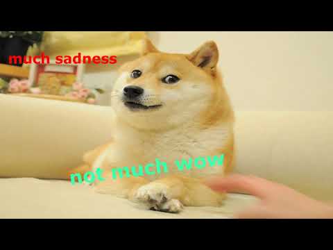 YouTube Trolls Doge with New 