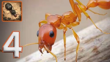 The Ants Underground Kingdom Gameplay Part 4 - Android-iOS