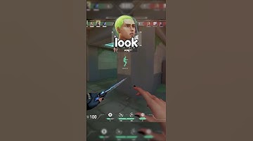 GEKKO stemacteur speelt waardevolle