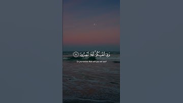 تلاوة هادئة تريح الأعصاب 😴🎧 القارئ: اسلام صبحى سورة: الذاريات ❤💙