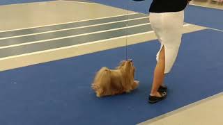 видео: 9 группа картинка: 9 группа