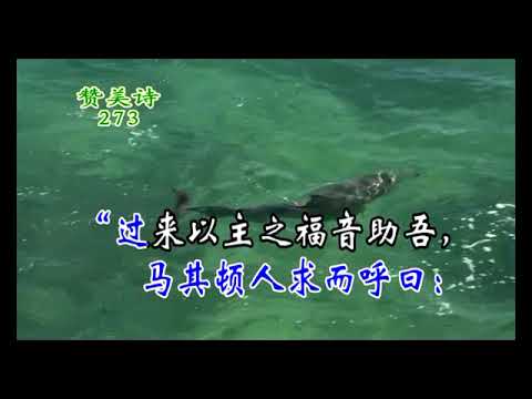 273大喜信息