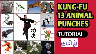 Kung-Fu Animal punches Tutorial