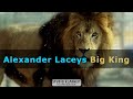 Teaser: Alexander Laceys Big King  ~ Circus and animal welfare