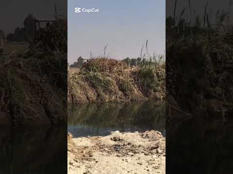 كم عدو ا للمال صادقنى وكم من صديق للمال عادني