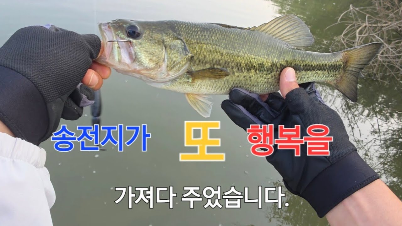 송전지 세번째….!!! #bassfishing #배스 #낚시