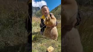 Чумовой Байбак