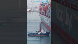Ever wondered what 23,664 TEU looks like up close? 👀Meet the “Busan Express” at Rotterdam port #ship Ever wondered what 23,664 TEU looks like up close? 👀Meet the “Busan Express” at Rotterdam port #ship