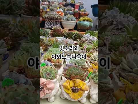 비가람막 밑에서