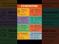 Synonyms ⭐