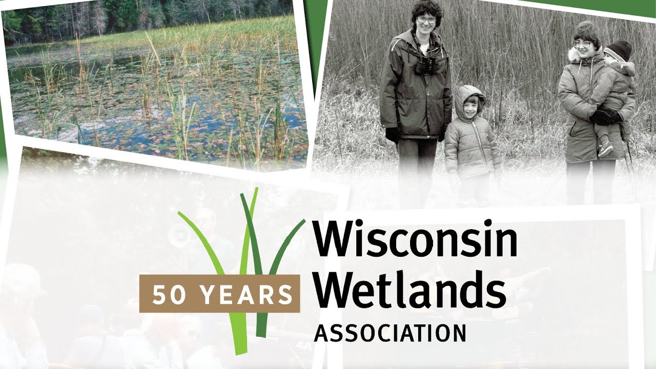 Celebrating 50 Years of WWA!