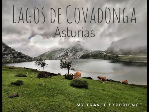 ვიდეო: შეხედეთ ტიბო პინოს Lagos de Covadonga Strava KOM