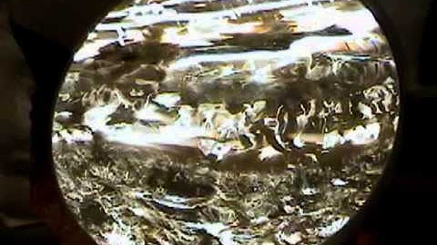 ITC Bridge - ITC Image Experiments July 4 2007