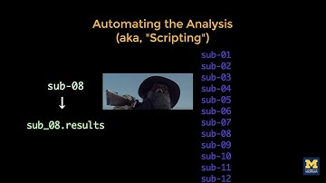 AFNI Tutorial #6: Scripting