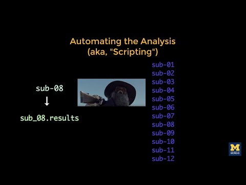 AFNI Tutorial #6: Scripting